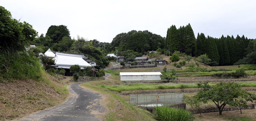 藤公園